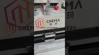 450mm Chema Brand Label Flatbed Die Cutting Machine With Lamination Device With Differential Shaft