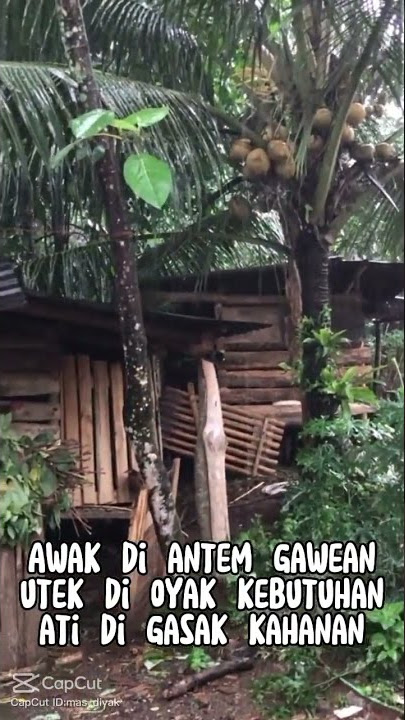 opo opo larang arep nyambotgae udan terus