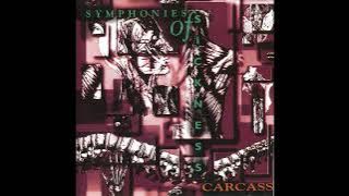 CARCASS - Symphonies Of Sickness  ( 1989 )