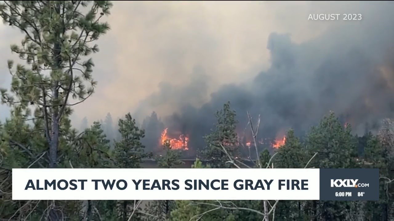 Almost two years since Gray Fire