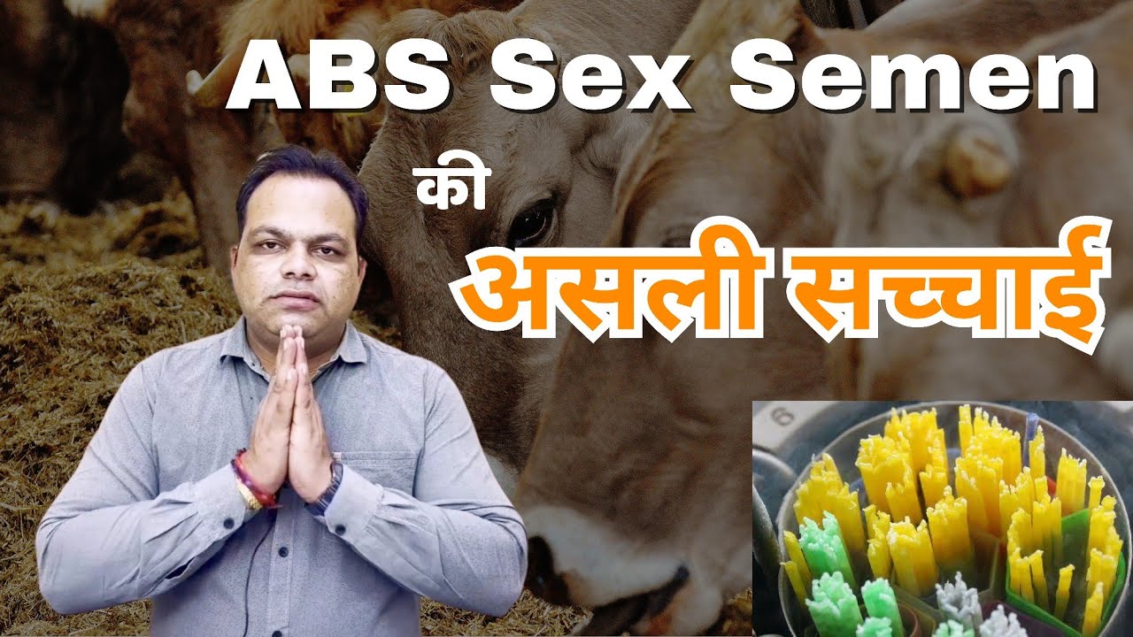 ABS Sex Semen की असली सच्चाई || असली सीमन (Straw) की पहचान कैसे करें || best video for dairy farming