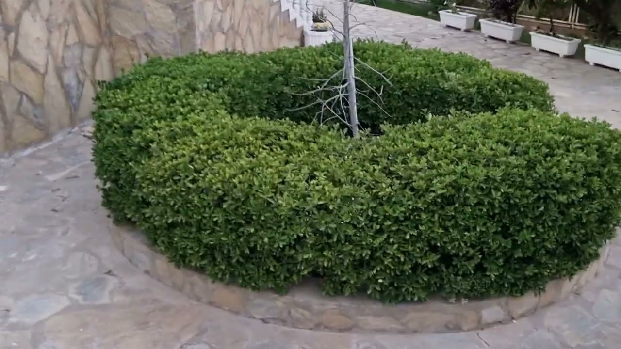 APA Mountain Lodge, Geyikbayırı, Konyaaltı, Antalya, Türkiye.