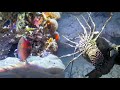 Diving for Lobsters, Sea Cucumbers, and Fish – Night Ocean Adventure | Seafood Harvest Vlog