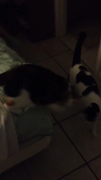 Little Bro, you're doing it wrong!