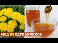 Мед из ОДУВАНЧИКОВ | Пошаговый рецепт