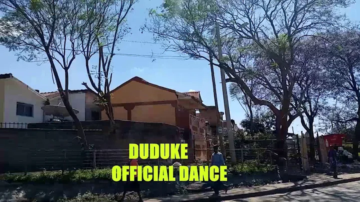 Duduke Simi official dance video combo