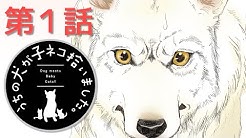 ちゃおチャンネル 公式 Ciao Youtube ちゃおチャンネル 公式 Ciao Youtube
