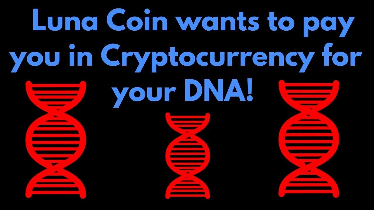 coinnext コインネクスト