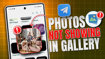 How to FIX Telegram Photos Not Showing in Gallery | Can