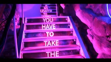 Flamingo Lounge intro