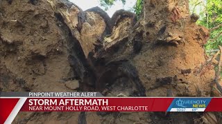 Storm causes huge tree to fall at west Charlotte home