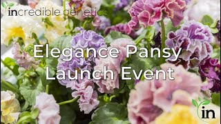 Incredible Elegance Pansy Launch At Tagawa Gardens - Spring 2025
