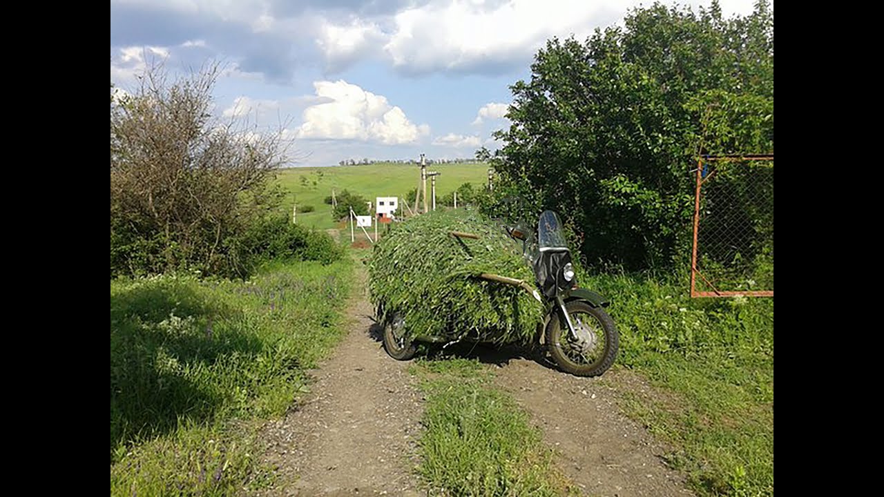 Заготовка веников для кроликов на зиму.