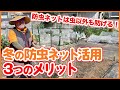 冬の防虫ネット効果は２倍！？家庭菜園で防虫ネットを設置したまま害虫対策に加えて保温栽培をする３つのメリットをご紹介【農園ライフ】