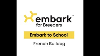 Embark to School: French Bulldog Color Genetics