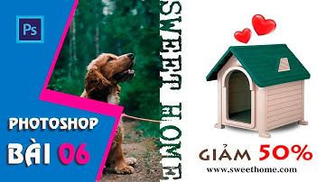 Photoshop CS6 | Bài 06: Bài tập vẽ banner đơn giản(Beginner)