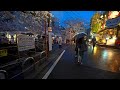 Rainy night Sakura cherry at Tokyo Meguro River・4K HDR