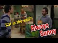 Always Sunny Cat in the wall