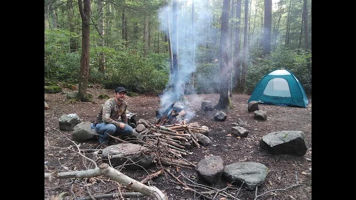 Camping in Bear Run Nature Reserve near Frank Lloyd Wright's Fallingwater