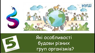 Які особливості будови різних груп організмів?