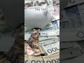 REAKCJA NA DUŻĄ ILOŚĆ PIENIĘDZY