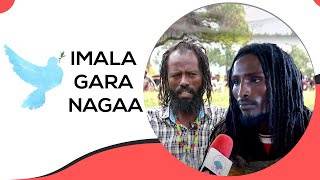 Imala gara Nagaa Miseensota ABO Shanee waamicha nagaa fudhachuun galan.