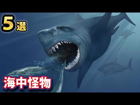 怖すぎる巨大な動物ｔｏｐ５ ジンベエザメを超える超巨大サメ メガロドン など Youtube