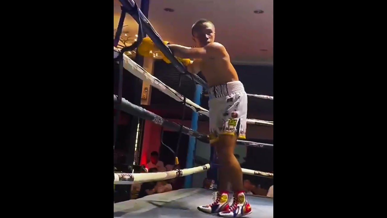 the new ibf pan pacific super fly champion vince paras