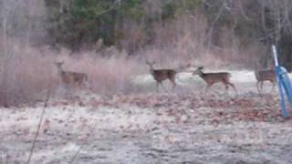MVI_0800.AVI