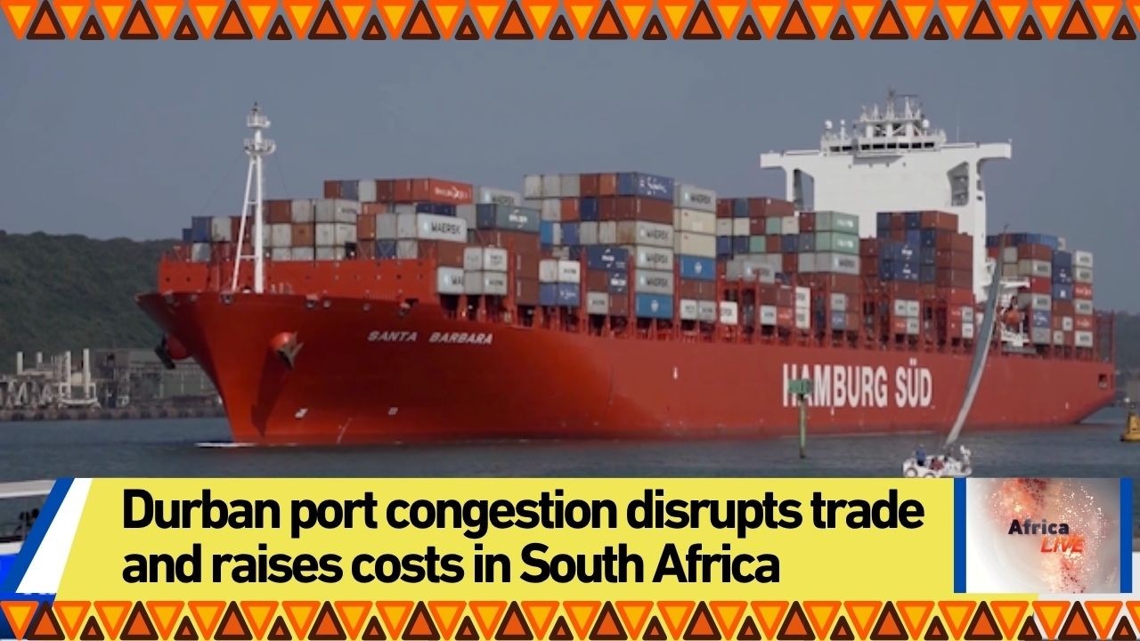 Durban port congestion disrupts trade and raises costs in South Africa