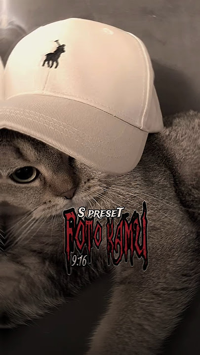 PRESET AM DJ LAGU BILA ADA UANG ABANG DISAYANG TREND TIKTOK KECE 😎#presetalightmotion #shorts #short