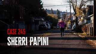 A Suburban Mothers Disappearance Unravels A Conspiracy