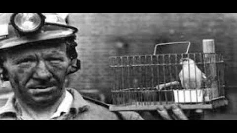 Out In The Coal Patch: Life in the Coal Mining Towns of Western Pennsylvania