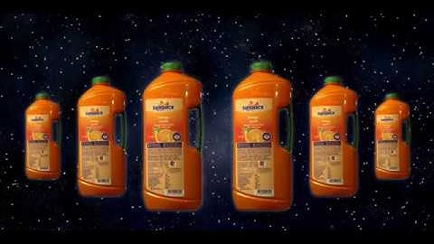 Sunquick New Bottle Launch | Black Pepper