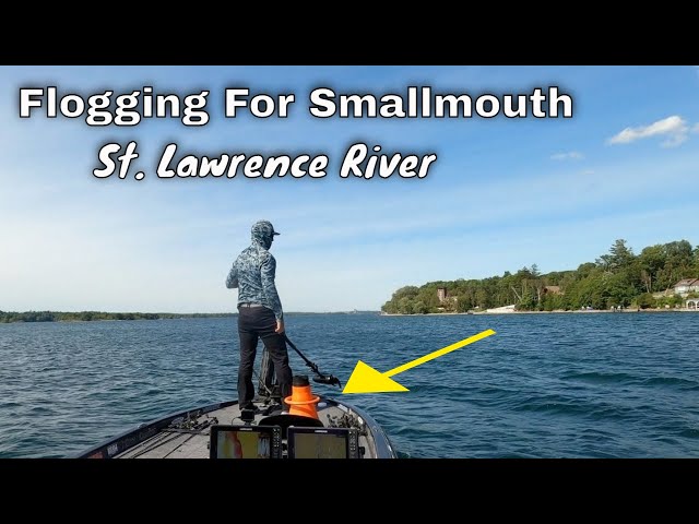 Catching Smallmouth with a Flogger in New York 