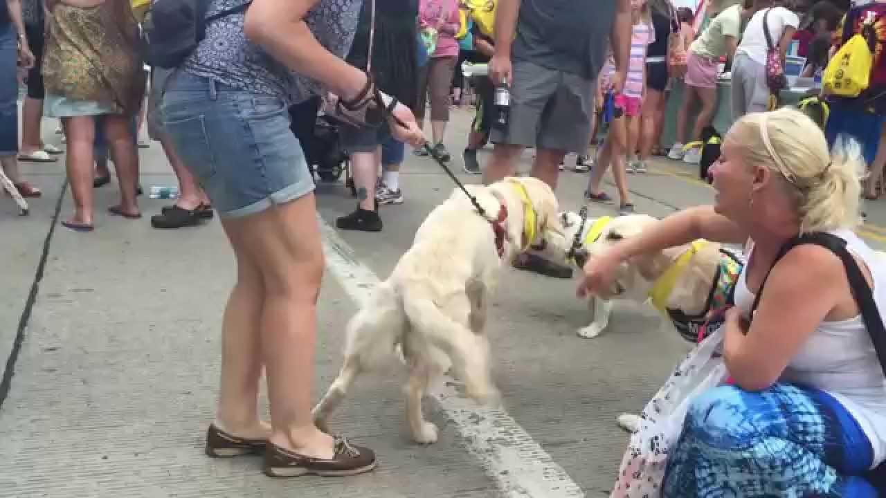 Western PA Humane Society Presents: THE BIG SIT!