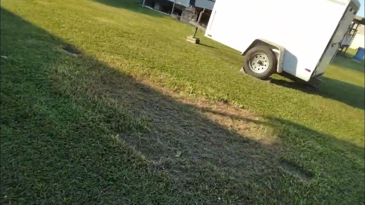 Neighbors Throwing trash in my yard YouTube