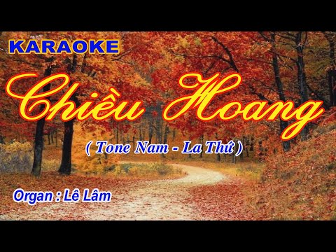 #Karaoke - CHIỀU HOANG - Tone Nam | Lê Lâm Music