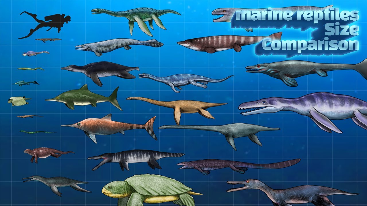 Marine Reptiles Dinosaurs