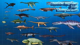 Ancient marine reptiles Size Comparison 1 |고대 해양 파충류 크기 비교 | Know the size of a underwater dinosaurs