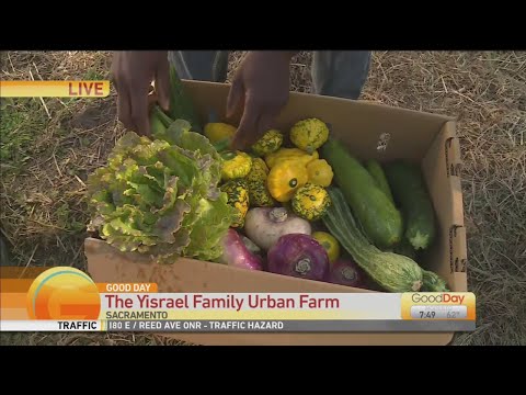 Yisrael Family Farm