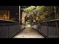 夜に雨を降らせて深く眠り、デルタ波の穏やかな音楽でリラックスする