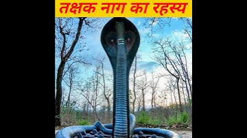इस मंदिर में आज भी जीवित है तक्षक नाग #takshak nag#facts 🐍#shorts #shortfeeds #ytshorts