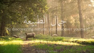 جمال الطبيعة مع عبارات جميلة مع صوت الاذكار || The Beauty Of Nature With Beautiful Phrases 4K Video