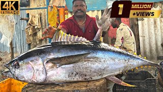 $75 £61 43KG BIG TUNA FISH | KASIMEDU SELVAM CUTTING | 4K VIDEO | IN KASIMEDU | FF CUTTING 🔪🐋