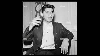 Paul Anka Something Has Changed Me Stereo