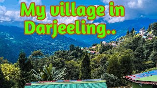 A DAY IN MY VILLAGE IN DARJEELING | A DAY WITH MY FAMILY | BEAUTIFUL VALLEY PUSSIMBING TEA