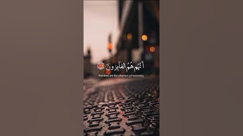 تلاوة مبكية 😢😢تحاكي القلوب | القارئ | 💚اسلام صبحي💚