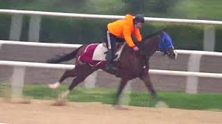 Yamantay Akin Özdeni̇z İle 14 11 2020 Artesi̇