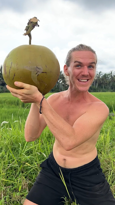 The Biggest Coconut In The World